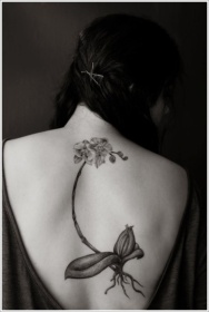 orchid-tattoo-design-1
